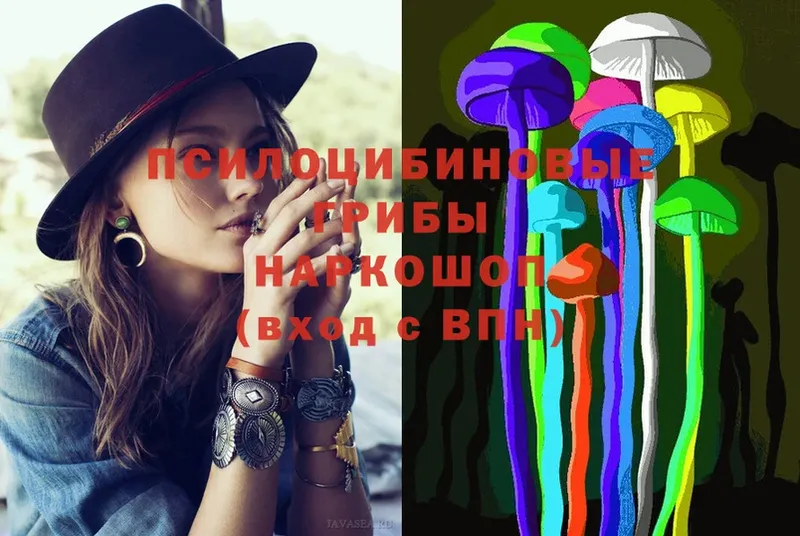 MEGA вход  Ахтубинск  Галлюциногенные грибы Psilocybe 